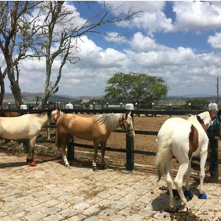 Apart Hotel Fazenda Monte Castelo - Gravata المظهر الخارجي الصورة