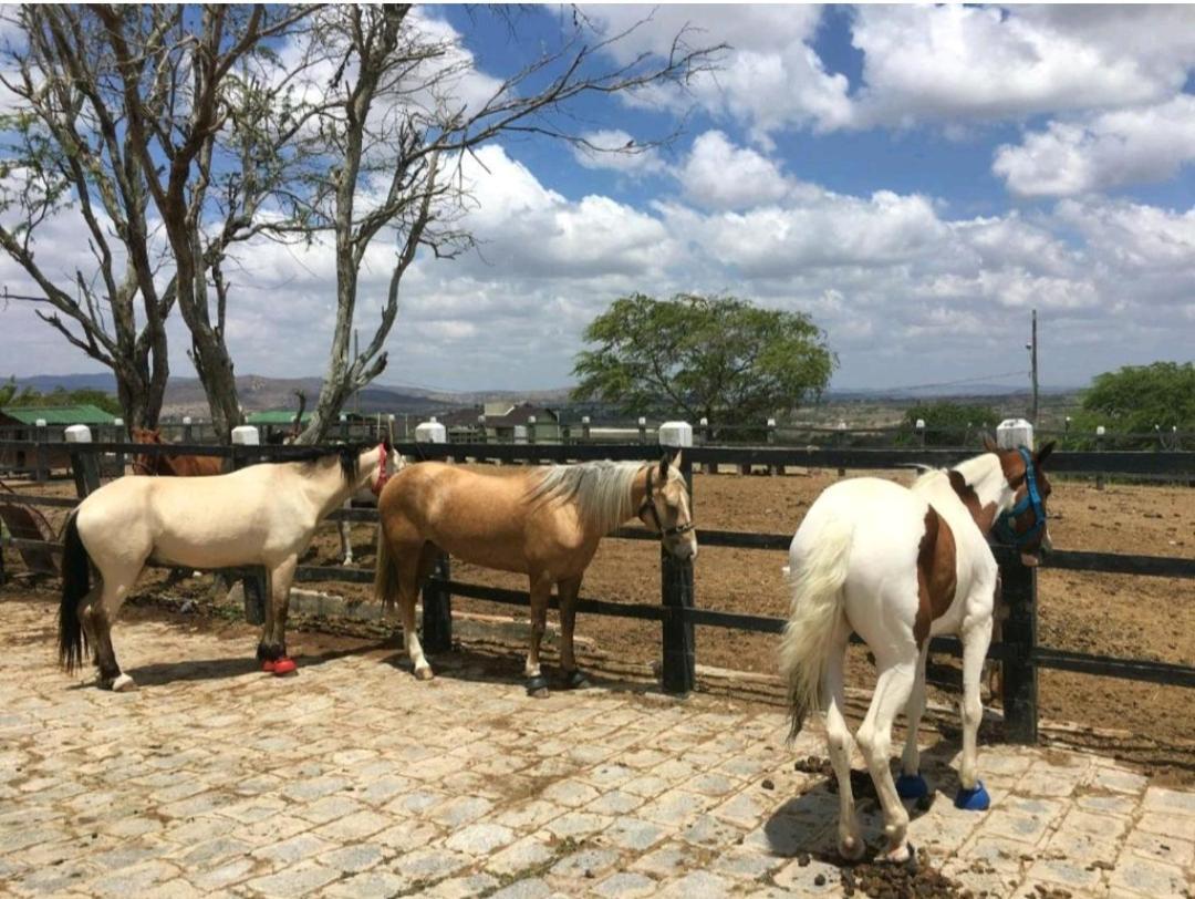 Apart Hotel Fazenda Monte Castelo - Gravata المظهر الخارجي الصورة